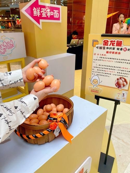 石家莊金龍魚體驗館有哪些互動區(qū)域，石家莊金龍魚體驗館是一個集科普教育、親子互動與食品文化體驗館