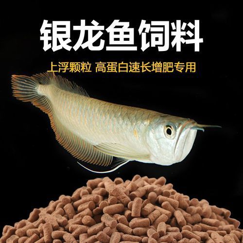 祥龍魚場提供的飼料有哪些型號？，祥龍魚場提供的飼料型號有哪些？