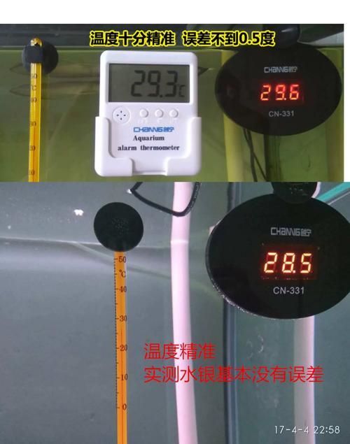 龍魚趴缸最簡單三個步驟，關于龍魚趴缸的一些建議