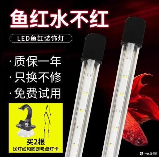 東城龍魚燈在哪里可以購買？，東城龍魚燈在哪里購買？