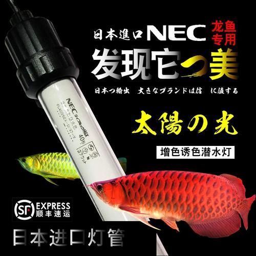 哪個(gè)品牌的nec龍魚燈最好？，nec龍魚燈價(jià)格范圍是多少nec龍魚燈的真?zhèn)? title=