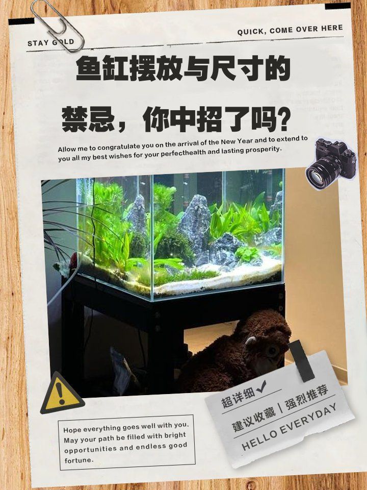 招財(cái)魚(yú)缸多大合適？，招財(cái)魚(yú)缸多大合適