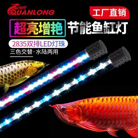 LED燈對龍魚發色有影響嗎