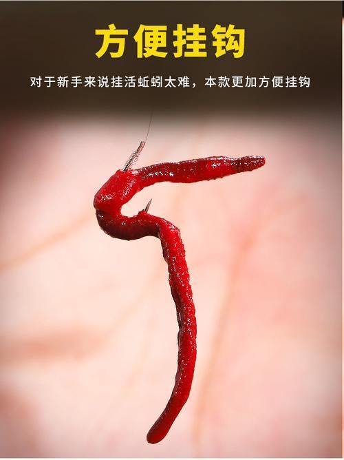 如何準備和清潔活餌，如何準備和清潔活餌思考完成