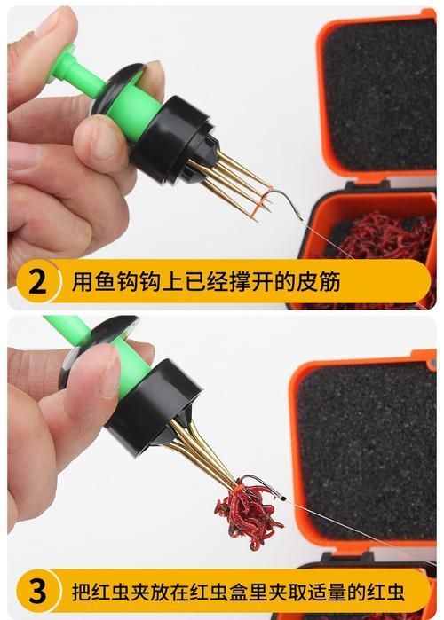 如何準備和清潔活餌，如何準備和清潔活餌思考完成