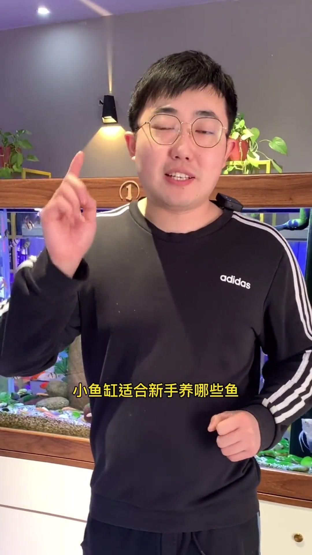 曼龍魚適合新手養嗎？，新手養曼龍魚，掌握幾個關鍵點，也能輕松養活曼龍魚