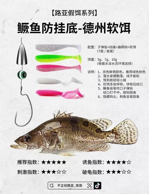 能否提供廣東釣觀魚的詳細攻略，廣東釣觀魚攻略