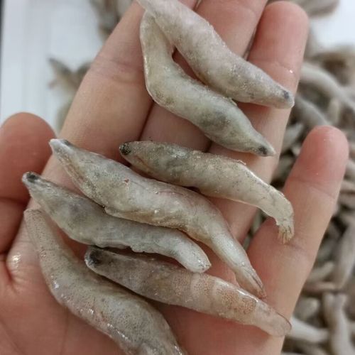 哪些食物富含維生素對龍魚恢復最有效，觀賞魚（龍魚）對龍魚恢復最有效思考完成調用工具今天吃什么