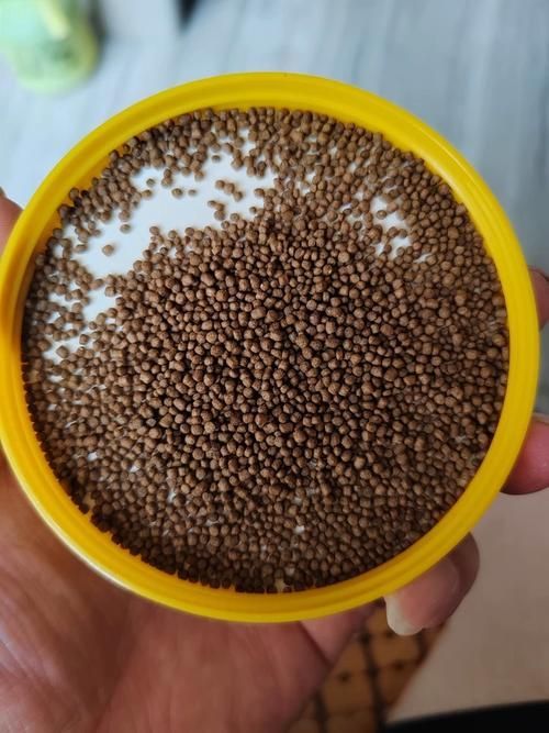 魚浮頭后應該如何喂食
