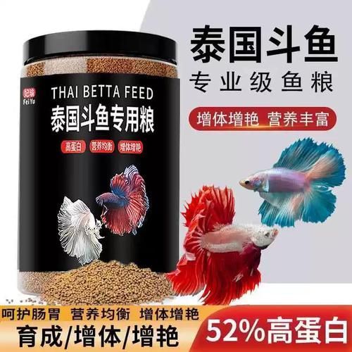 魚浮頭后應該如何喂食