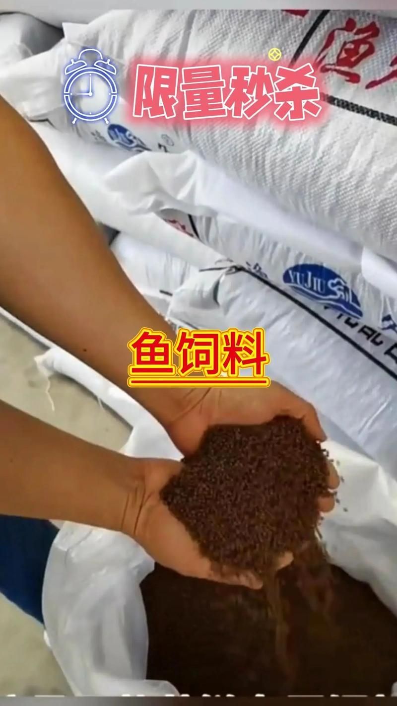 魚浮頭后應該如何喂食