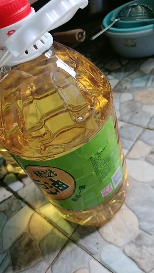 金龍魚的市場價格未來走勢如何，金龍魚價格走勢分析