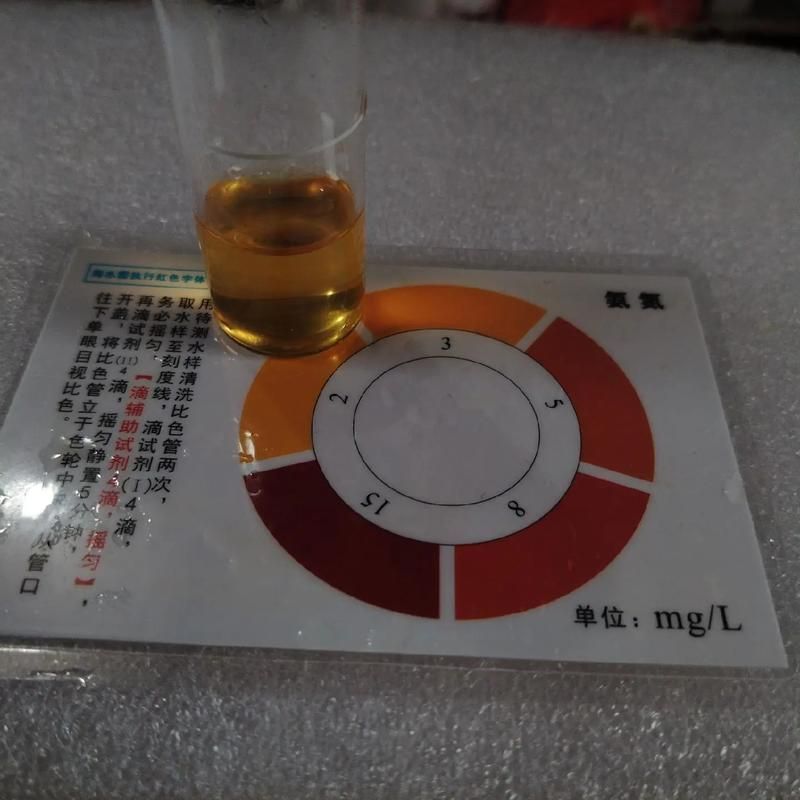如何改善龍魚缸的水質和環境？，如何改善龍魚缸水質與環境