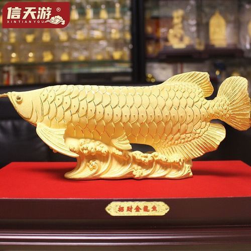 金龍魚沙金中號有哪些款式可選？，熱門金龍魚沙金中號擺件推薦金龍魚沙金中號哪個品牌最好