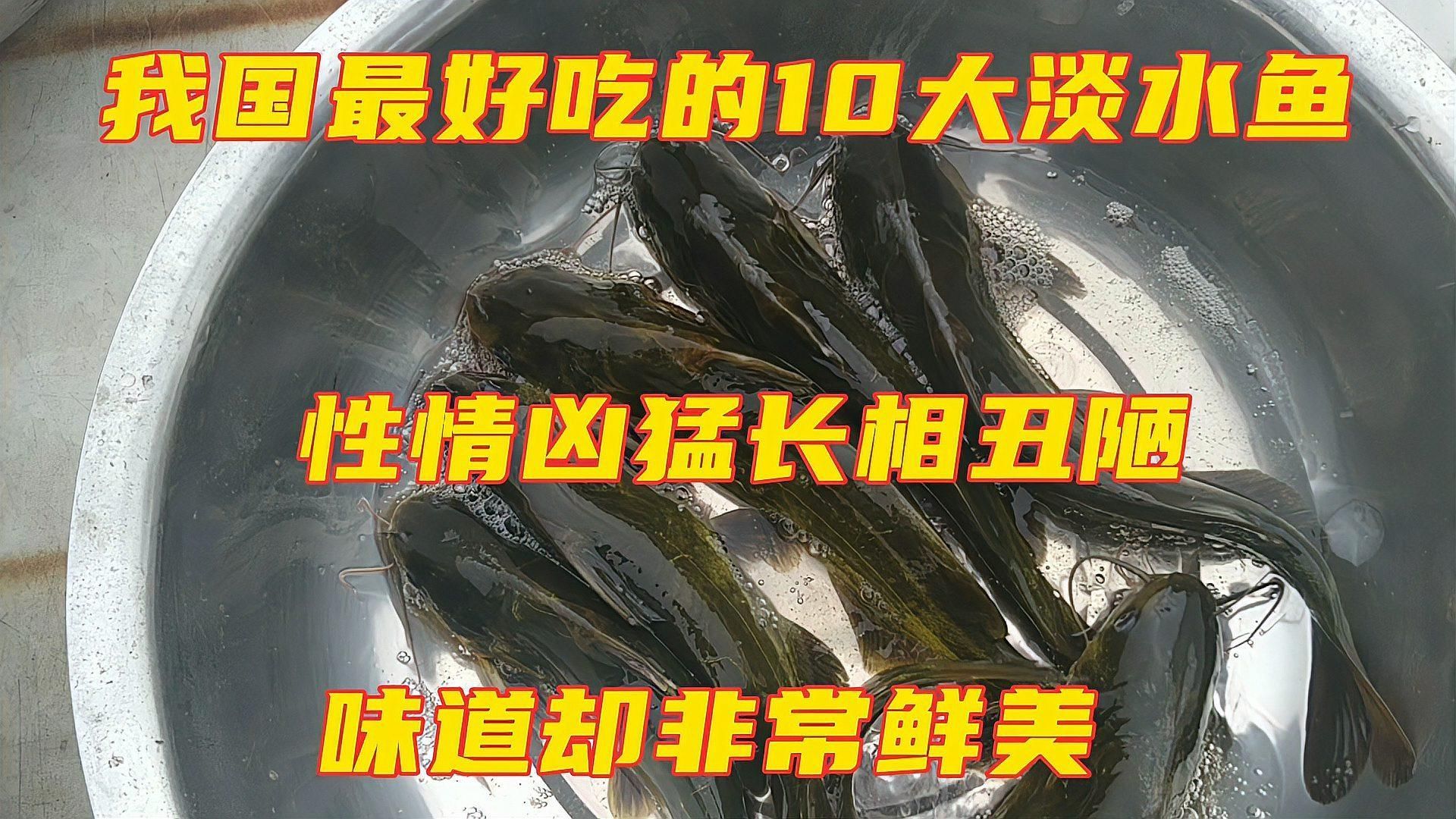 能否提供十大暴利淡水魚的詳細養(yǎng)殖技術(shù)，能否提供十大暴利淡水魚的詳細養(yǎng)殖技術(shù),能提供一對一診斷與定制化養(yǎng)殖計劃