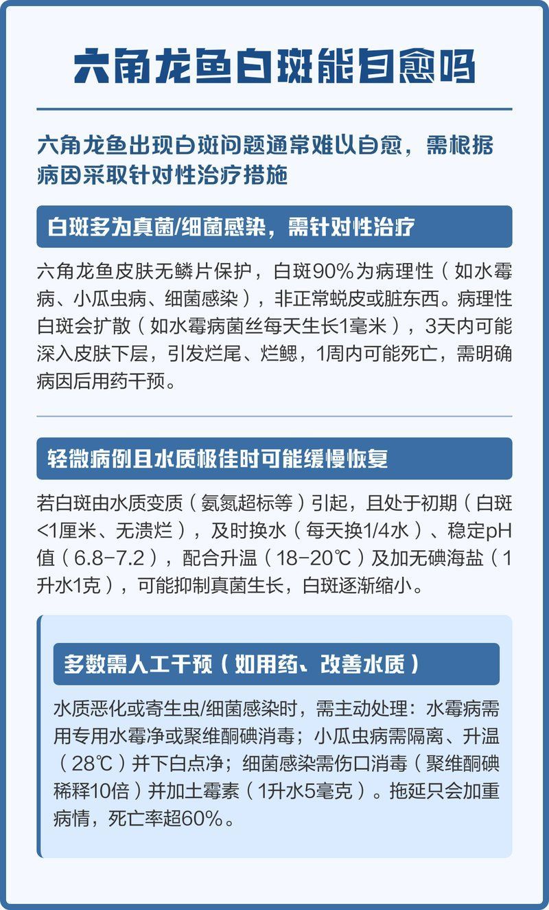龍魚背上發霉會自愈嗎，龍魚背上發霉會自愈嗎龍魚背上發霉會自愈嗎