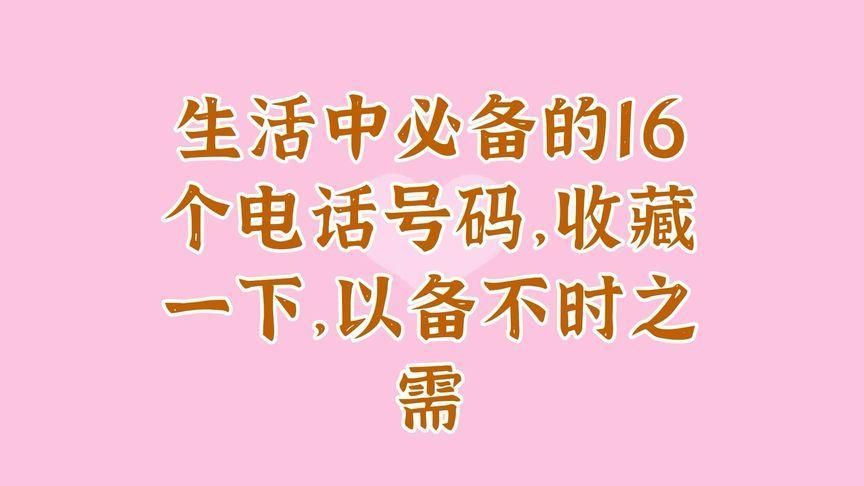 除了電話，還有哪些聯系方式？，60厘米高的缸養龍魚需要哪些注意事項60厘米缸養龍魚