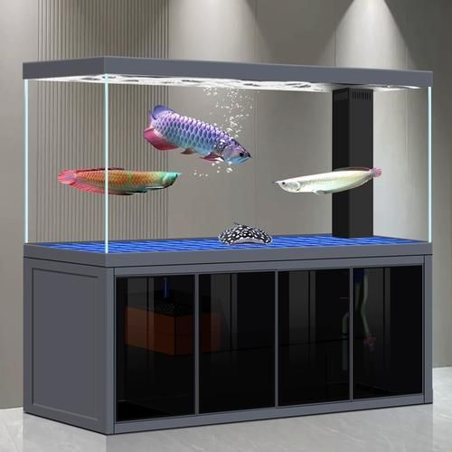 祥龍魚場有哪些性價比高的龍魚缸推薦？，祥龍魚場性價比高的龍魚缸推薦