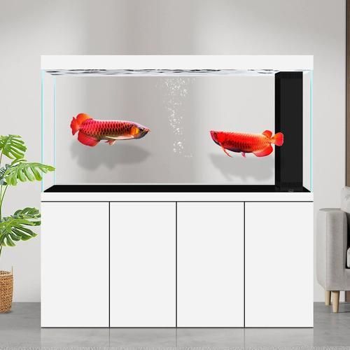 祥龍魚場有哪些性價比高的龍魚缸推薦？，祥龍魚場性價比高的龍魚缸推薦