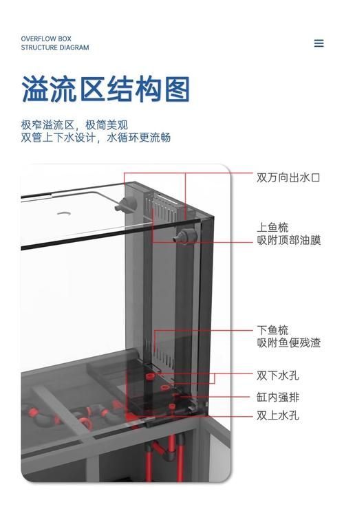 龍魚缸的過濾系統如何選擇？，龍魚缸的過濾系統選擇與配置建議，新手養魚必看