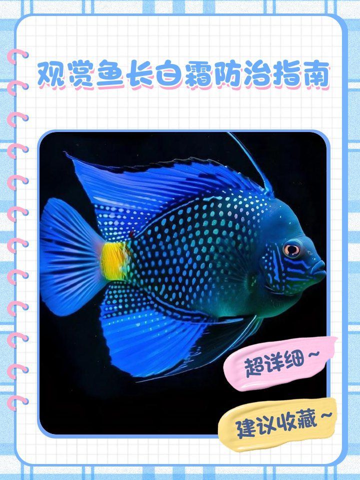 如何預防觀賞魚長白霜，如何預防觀賞魚長白霜,如何判斷觀賞魚是否長白霜