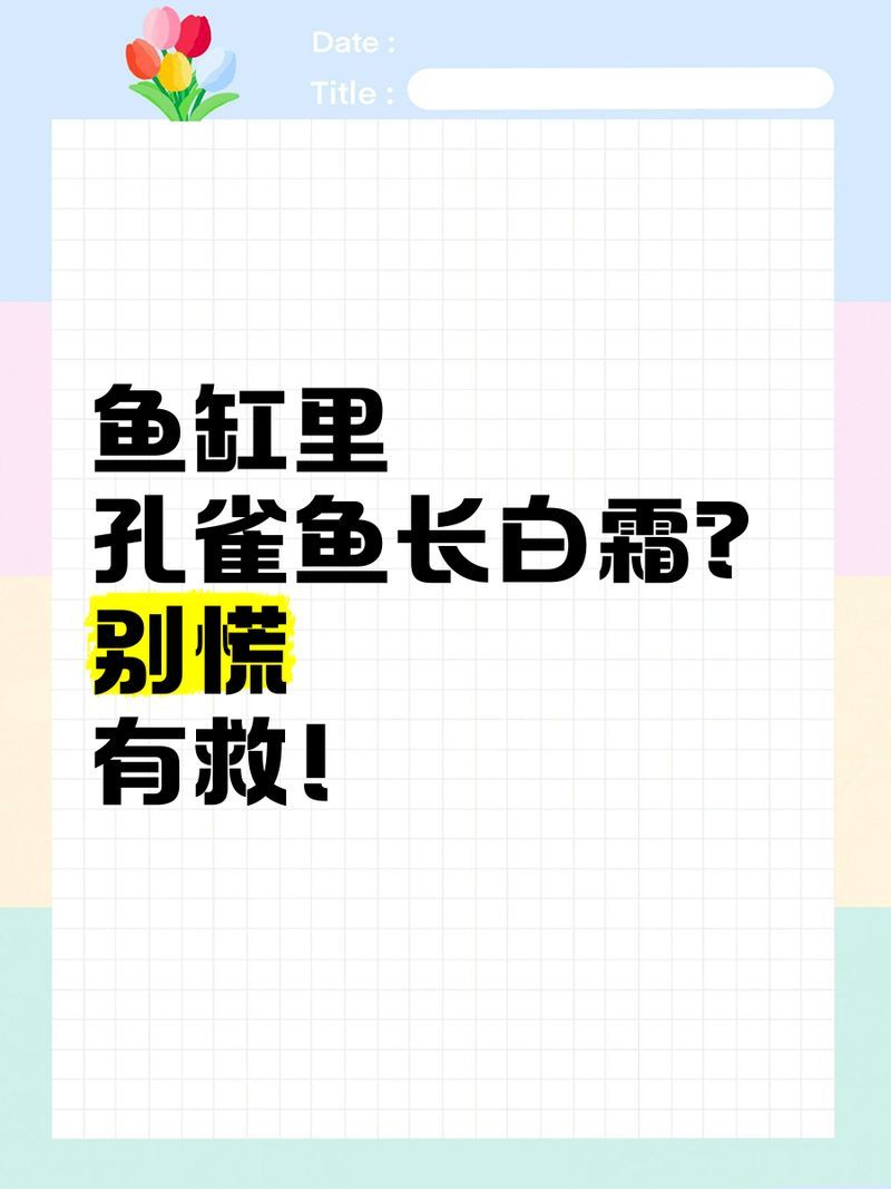 如何預防觀賞魚長白霜，如何預防觀賞魚長白霜,如何判斷觀賞魚是否長白霜