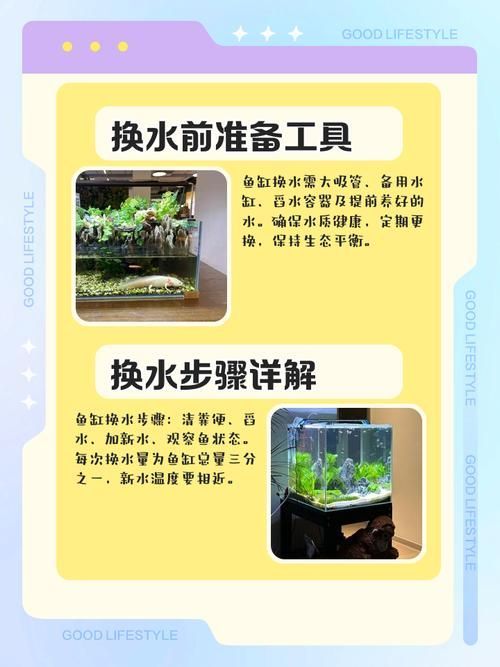 如何預防爛尾魚的發生，arxiv論文助手可輔助獲取最新的水產病理學研究論文