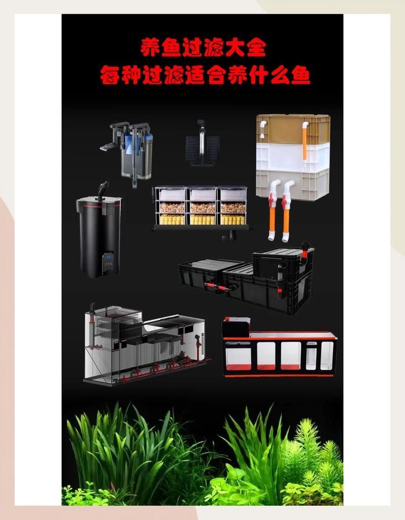 哪種過濾系統(tǒng)最適合龍魚？