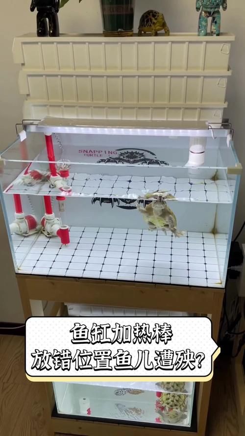 可麗愛魚缸安裝時(shí)有哪些常見錯(cuò)誤？
