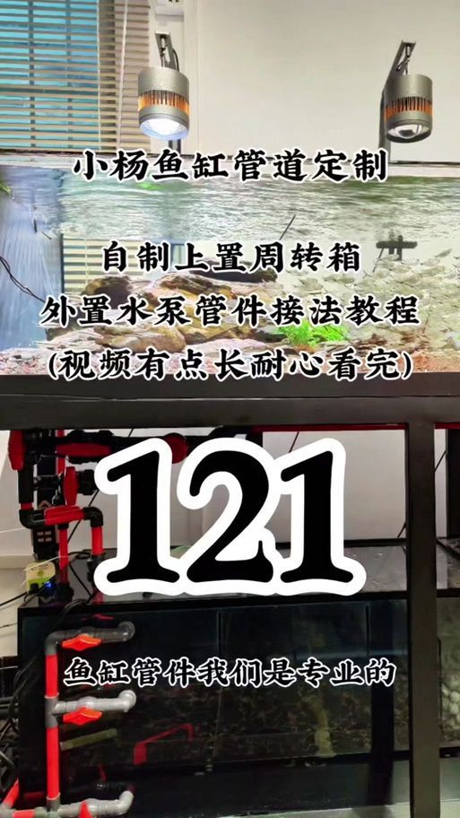 可麗愛魚缸安裝時有哪些常見錯誤？