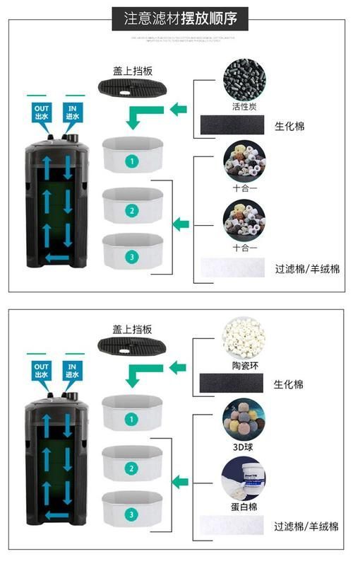 如何維護龍魚的過濾系統？，如何維護龍魚過濾系統