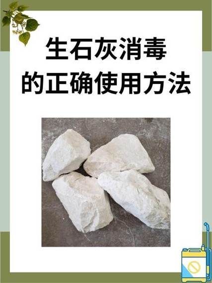 如何預防豎鱗病的發生