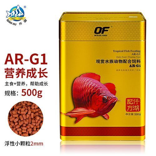 有哪些品牌魚食適合金龍魚？，如何選擇金龍魚？