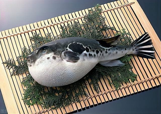 龍魚有哪些天敵植物，龍魚有哪些天敵植物是龍魚的天敵植物及其真實影響機制
