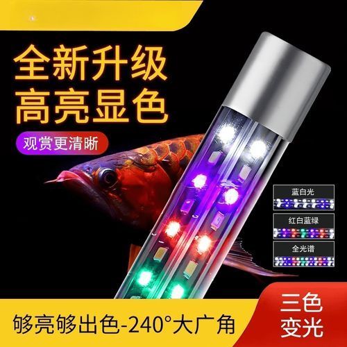 億得勝變色龍魚燈的價格是多少？，億得勝變色龍魚燈價格是多少億得勝變色龍魚燈價格是多少