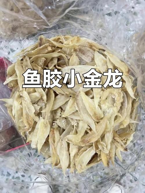 金龍魚膠和水龍魚哪個更有營養？，水龍魚膠和金龍魚哪個更有營養？