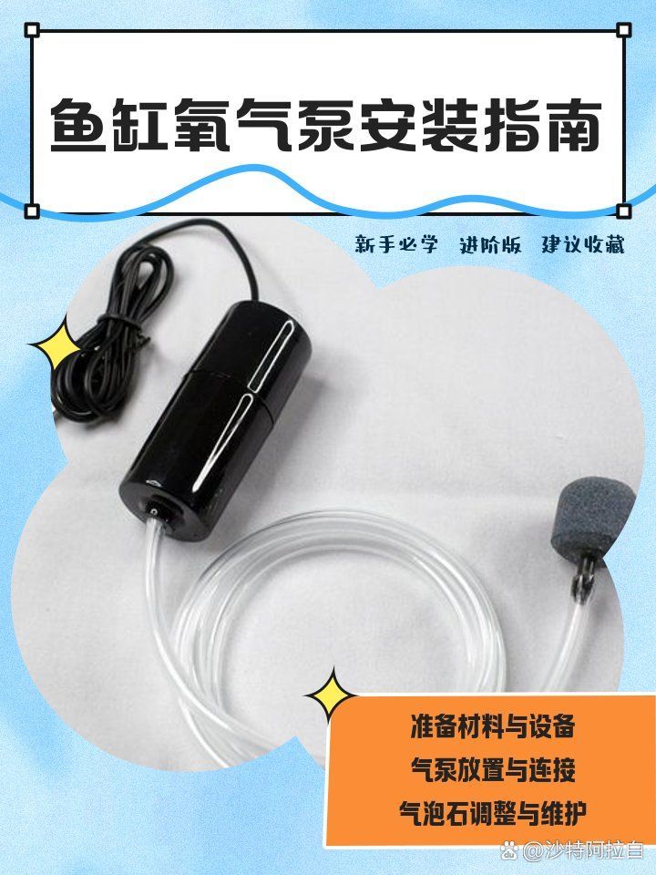 龍魚懸浮時如何補充氧氣？，增氧泵正確位置補充寵物氧氣評測