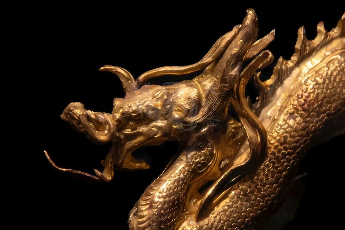 古典過背金龍七鰭的由來和歷史背景，古典過背金龍“七鰭”的由來與歷史背景