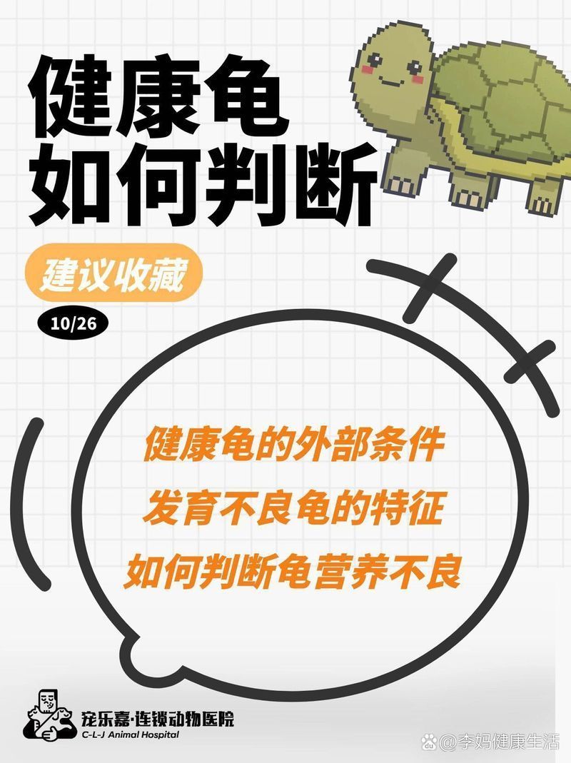 如何判斷龜的健康狀況，判斷龜的健康狀況是養龜過程中的重要環節是一些關鍵指標和建議