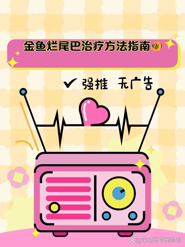 金魚爛尾如何治療最有效，寵物喂養(yǎng)秘籍，金魚爛尾巴最快治療法
