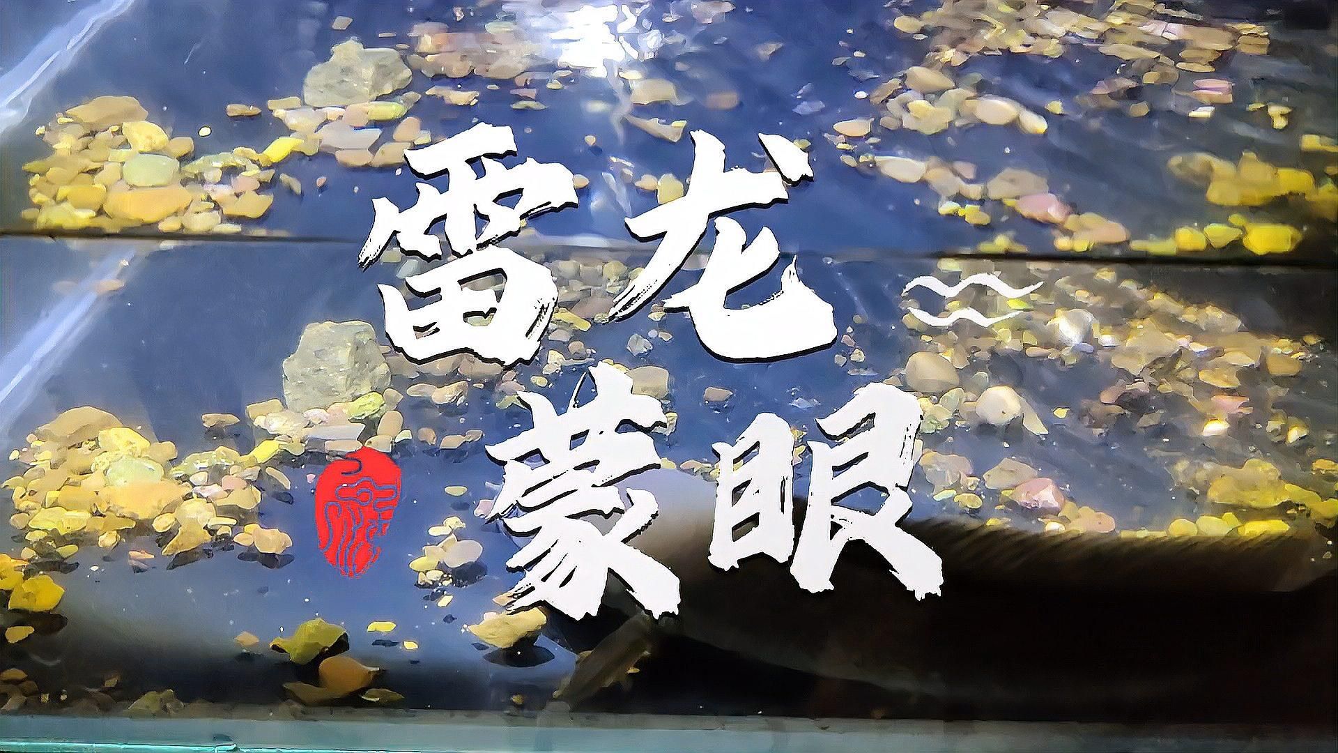 有哪些藥物可以治療雷龍魚蒙眼，治療雷龍魚蒙眼的藥物有哪些