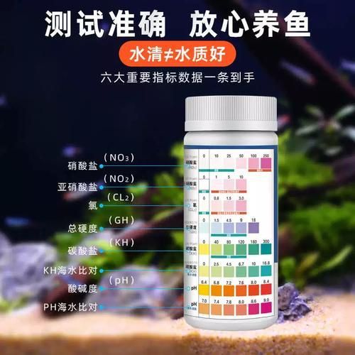 龍魚真菌感染用藥期間需要注意什么，龍魚真菌感染用藥期間的核心注意事項