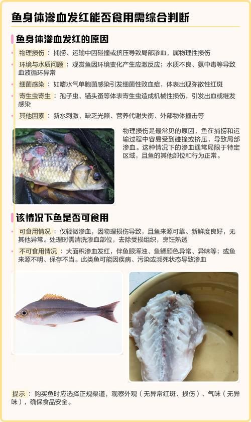 能否提供更多魚體滲血的圖片，魚體滲血的原因