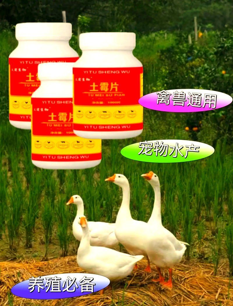 有哪些輔助措施可以提升土霉素療效，土霉素與土霉素聯(lián)合治療能提升土霉素療效嗎？