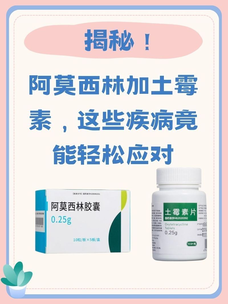 有哪些輔助措施可以提升土霉素療效，土霉素與土霉素聯(lián)合治療能提升土霉素療效嗎？