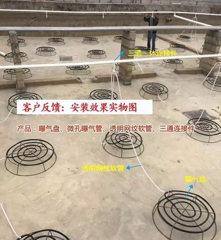 如何預防魚塘早上浮頭