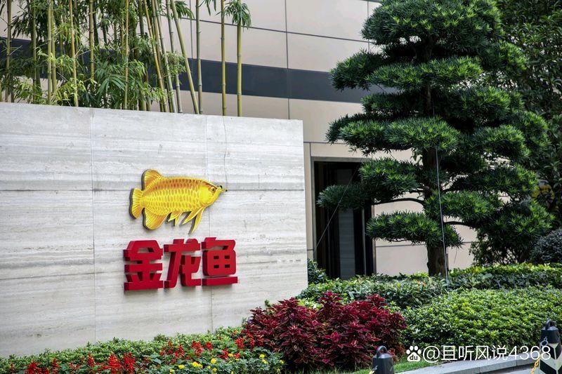 金龍魚是否受到外資控制，金龍魚是否受到外資控制，其背后的實(shí)際控制方是新加坡的企業(yè)
