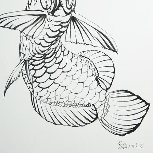給我一張龍魚簡筆畫的參考圖，如何畫龍魚的簡筆畫？
