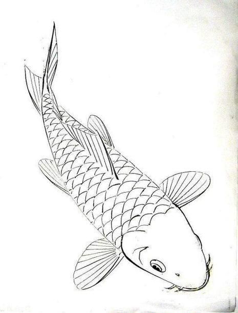 給我一張龍魚簡筆畫的參考圖，如何畫龍魚的簡筆畫？