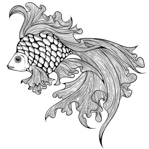 給我一張龍魚簡筆畫的參考圖，如何畫龍魚的簡筆畫？